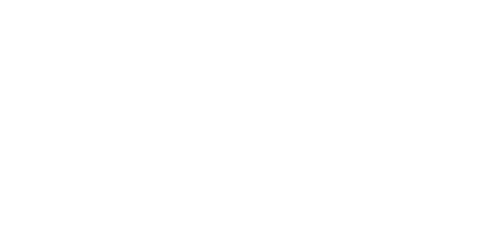 BLP Chile